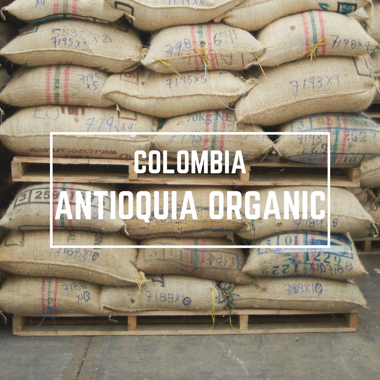 Colombia Antioquia Organic