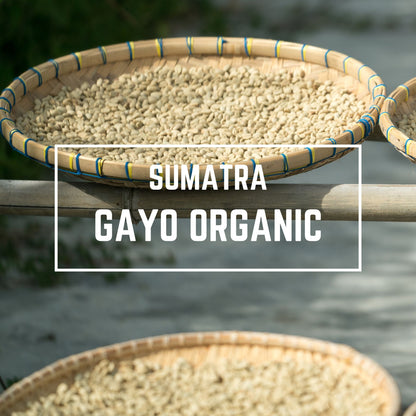 Sumatra Gayo Organic